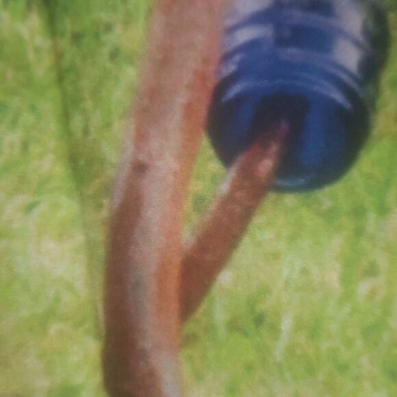 4@30.00 or 20.00 𝅺NWOT  Decorative Bottle Tree Banner - Picture 7 of 15